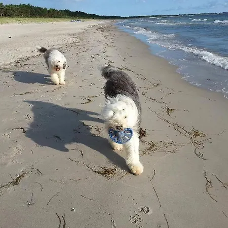 Ferienhaus-seehund Casa de Férias Glowe