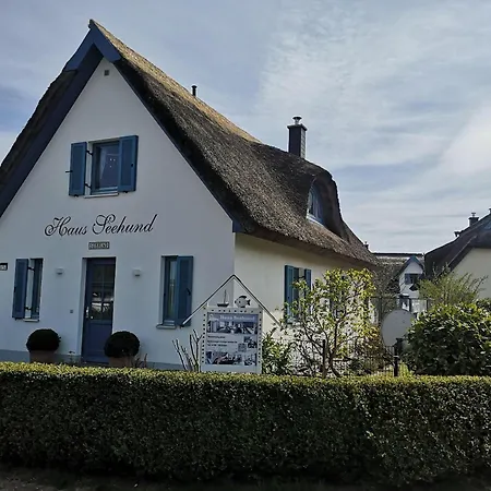 Ferienhaus-seehund *