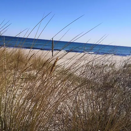 Ferienhaus-seehund Glowe